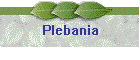 Plebania